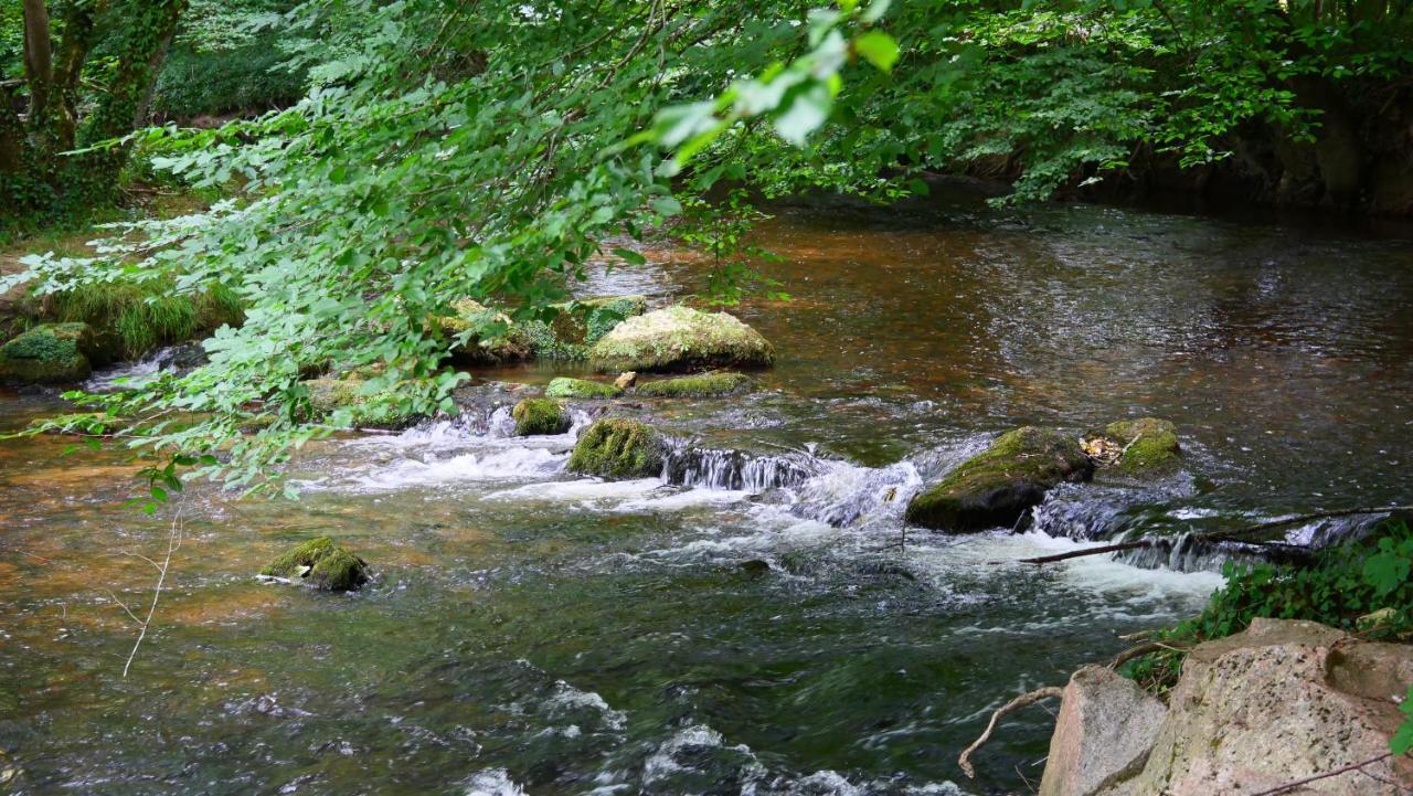 Les Chalets Du Moulin De Valade Condat-sur-Trincou Bagian luar foto